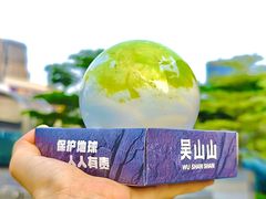 -吴山山·椰子酸奶(天河南店)