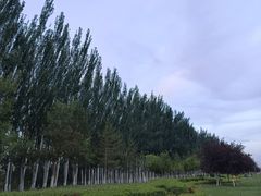 -伊犁河景区