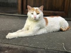 -竹吟山房