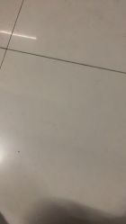 -八佰伴8008星级形象店
