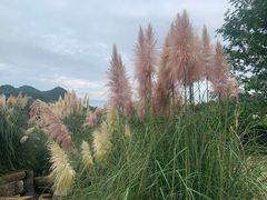 -贵阳市花溪国家城市湿地公园