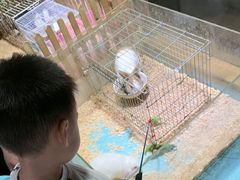 -嘉兴海底世界