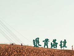 -银肯塔拉沙漠生态旅游景区