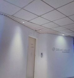 -紫御国际抗衰ZOE ANTI AGING