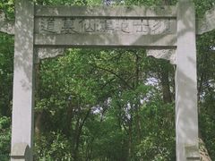 -紫金山山顶公园