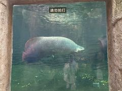 -青青世界