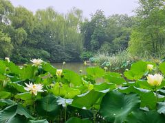 -北京动物园-畅观楼