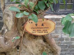 android_upload_pic-东莞市可园博物馆