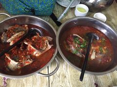 -风鑫铃罗非鱼(道沟店)