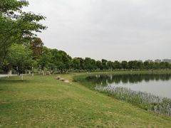 -桐乡凤凰湖