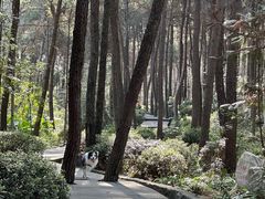 -铁山坪森林公园