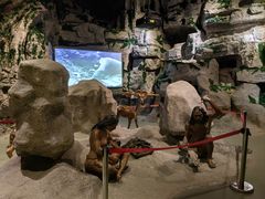 -房山世界地质公园博物馆