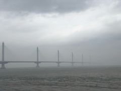 -杭州湾海上花田景区