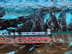 -魏铭鱼头捞饭(晋阳路店)