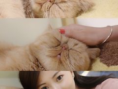 -猫和宫(六道口店)