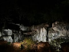 -清迈夜间动物园