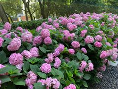 -常州古运河南大街文化旅游区-人民公园