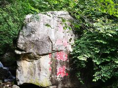 -青峰峡国家森林公园