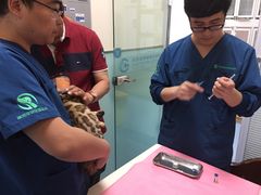 -瑞派·关忠动物医院·异宠专科·犬猫肿瘤·皮肤专科(望京店)