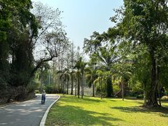 -中国科学院西双版纳热带植物园