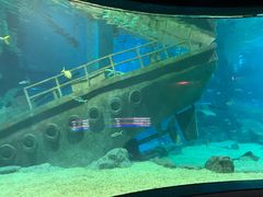 -福州罗源湾海洋世界旅游区