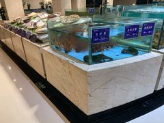 水产区-旺顺阁海鲜广场(亚运村店)