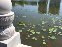 -西海子公园