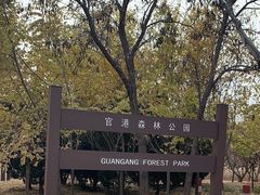 -官港森林公园