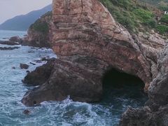 -杨梅坑