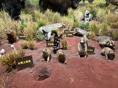 -陕西自然博物馆