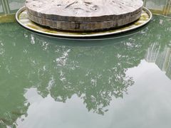 -成都市活水公园