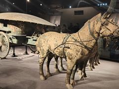 -秦始皇帝陵博物院(兵马俑)