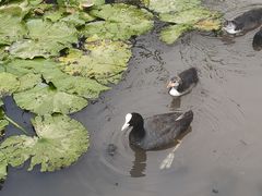 -前关湿地公园