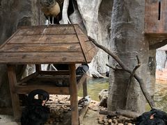 -长鹿旅游休博园