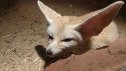 -酷嗒动物文化乐园(cutezoo西溪乐天城店)