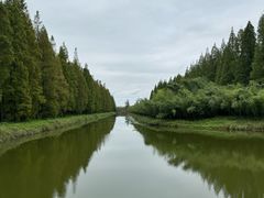 -黄海国家森林公园