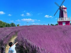 -羊亭河湿地公园