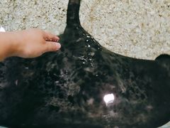 -台州海洋世界