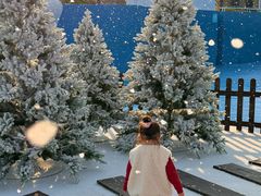 -汕头中海黄金海岸水上乐园