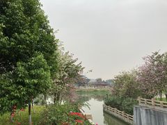 -海珠湖公园
