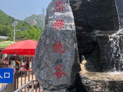-大岭沟猕猴桃谷风景区