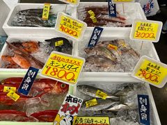 -南纪白浜Toretore市场