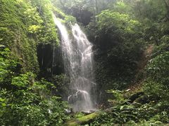 -莫里热带雨林景区