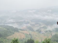 -紫鹊界梯田景区