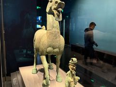 -广西壮族自治区博物馆