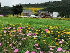 -玉舍国家森林公园