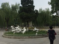 -文瀛公园
