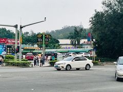 -吉品莞家·鲍鱼鸡煲(东莞店)