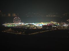 -大堂酒廊·富力丽思卡尔顿酒店
