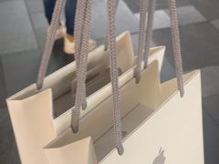 -Apple零售店(成都太古里店)